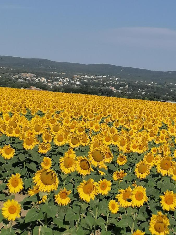 Charmante Maison Avec Terrasse Aux Portes De L'Ardeche 퐁생테스프릿 외부 사진